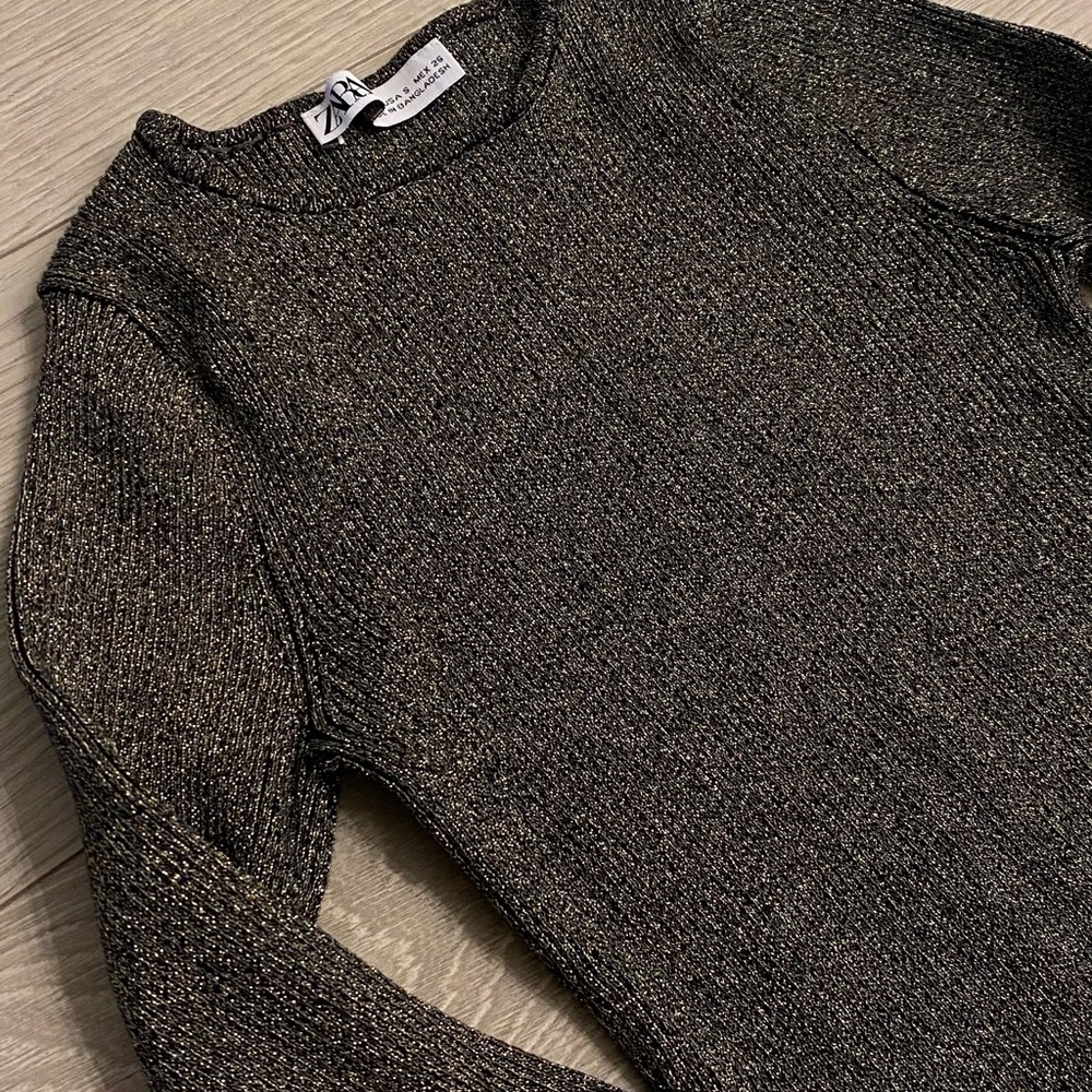 Zara Metallic Crop Knit
